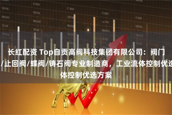 长红配资 Top自贡高阀科技集团有限公司：阀门/闸阀/止回阀/蝶阀/铸石阀专业制造商，工业流体控制优选方案