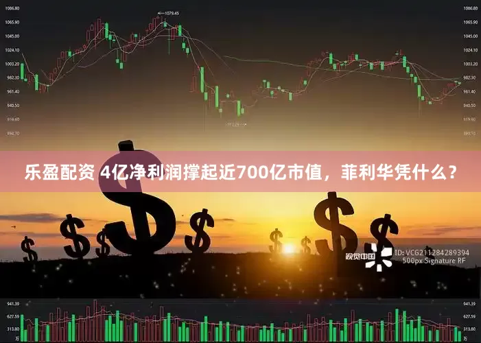 乐盈配资 4亿净利润撑起近700亿市值，菲利华凭什么？